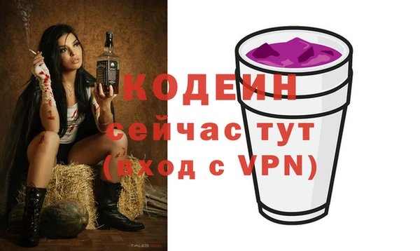гидра Корсаков