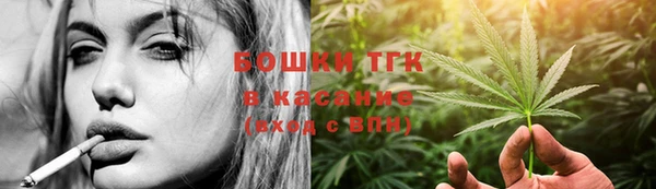 гидра Корсаков
