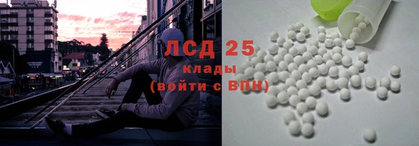 гидра Корсаков