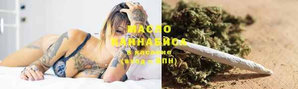 гидра Корсаков