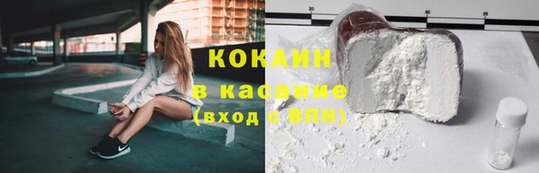 гидра Корсаков