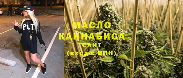 гидра Корсаков
