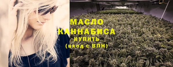 индика Волоколамск