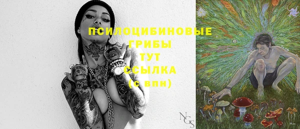 гидра Корсаков