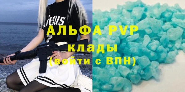 гидра Корсаков