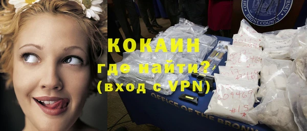 гидра Корсаков