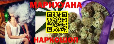 apvp Гатчина