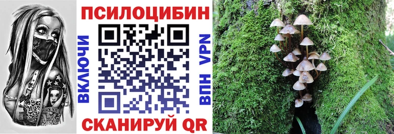 Псилоцибиновые грибы GOLDEN TEACHER  Курск 