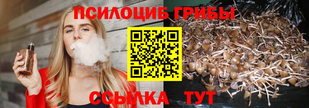 Псилоцибиновые грибы мухоморы  Галлюциногенные грибы Psilocybine cubensis  Курск 