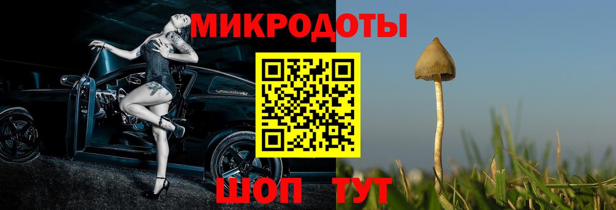 Псилоцибиновые грибы ЛСД Курск